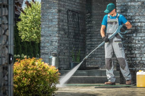 Best Gutter Cleaning and Brightening in Caseyvle, IL